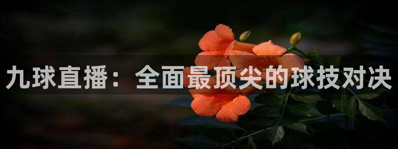 九球直播：全面最顶尖的球技对决