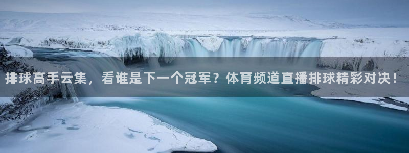 排球高手云集，看谁是下一个冠军？体育频道直播排球精彩对决！