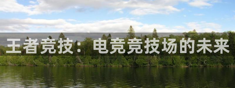 王者竞技：电竞竞技场的未来