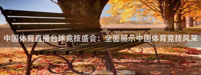 中国体育直播台球竞技盛会：全面展示中国体育竞技风采