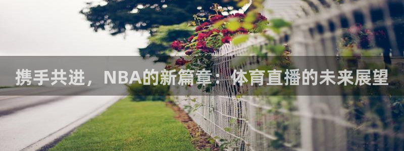 携手共进，NBA的新篇章：体育直播的未来展望