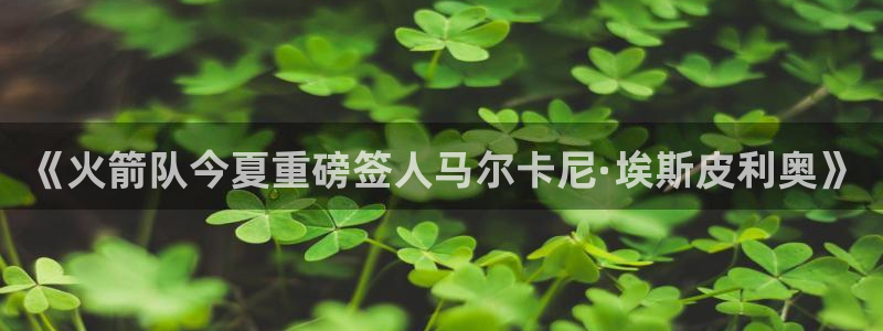 《火箭队今夏重磅签人马尔卡尼·埃斯皮利奥》