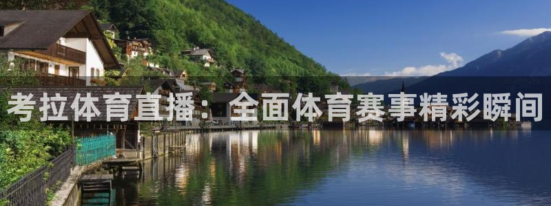 考拉体育直播：全面体育赛事精彩瞬间