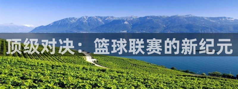 顶级对决：篮球联赛的新纪元