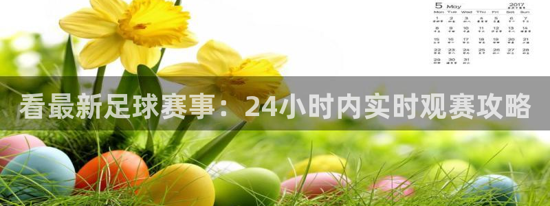 看最新足球赛事：24小时内实时观赛攻略