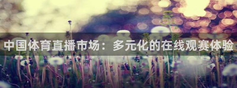中国体育直播市场：多元化的在线观赛体验