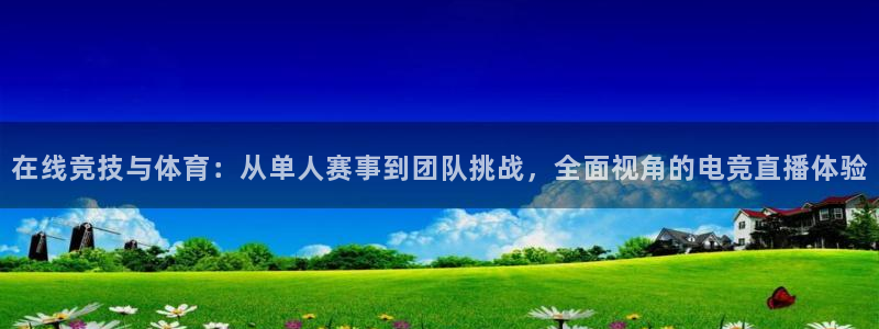 在线竞技与体育：从单人赛事到团队挑战，全面视角的电竞直播体验