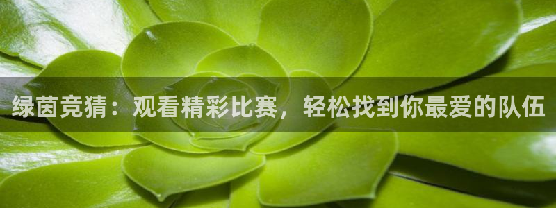 绿茵竞猜：观看精彩比赛，轻松找到你最爱的队伍