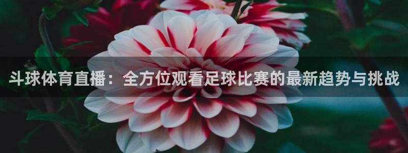 斗球体育直播：全方位观看足球比赛的最新趋势与挑战