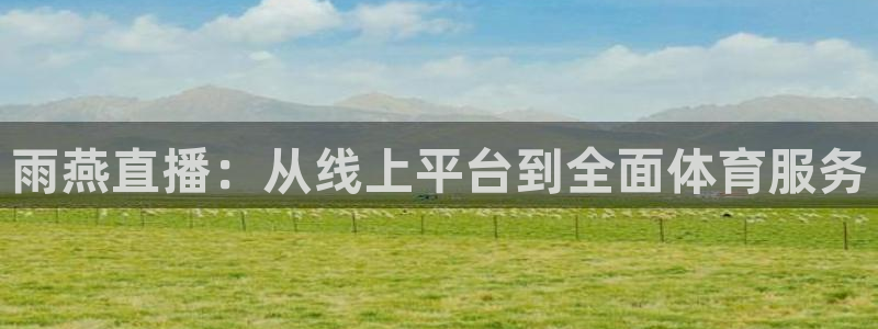 雨燕直播：从线上平台到全面体育服务