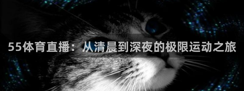 55体育直播：从清晨到深夜的极限运动之旅