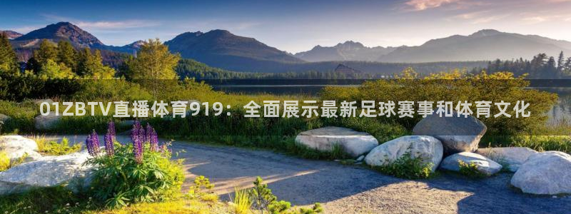 01ZBTV直播体育919：全面展示最新足球赛事和体育文化