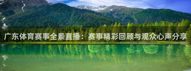 广东体育赛事全景直播：赛事精彩回顾与观众心声分享