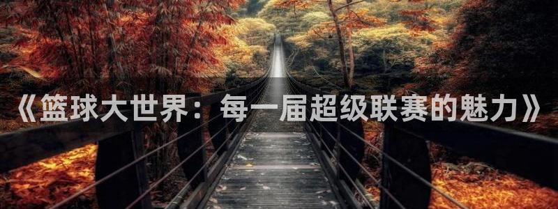 《篮球大世界：每一届超级联赛的魅力》