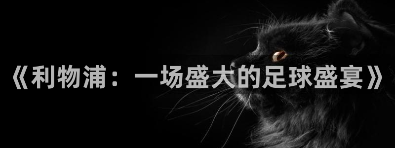 《利物浦：一场盛大的足球盛宴》