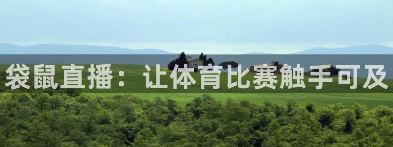 袋鼠直播：让体育比赛触手可及