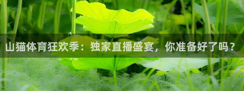 山猫体育狂欢季：独家直播盛宴，你准备好了吗？