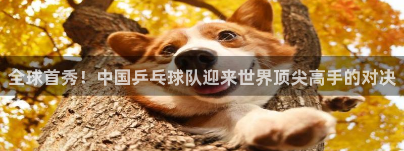 全球首秀！中国乒乓球队迎来世界顶尖高手的对决