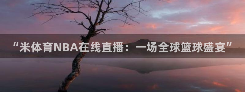 “米体育NBA在线直播：一场全球篮球盛宴”