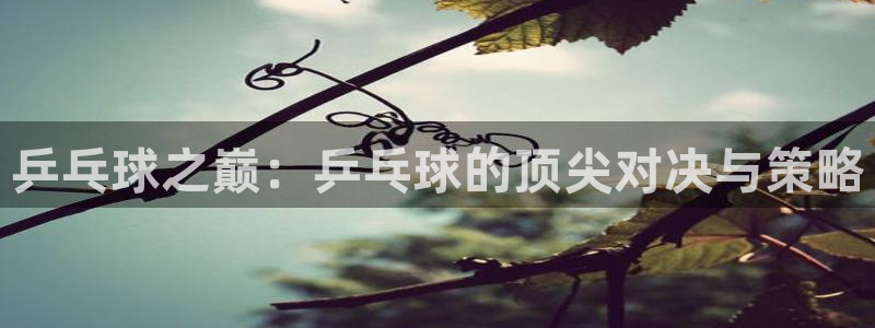 乒乓球之巅：乒乓球的顶尖对决与策略