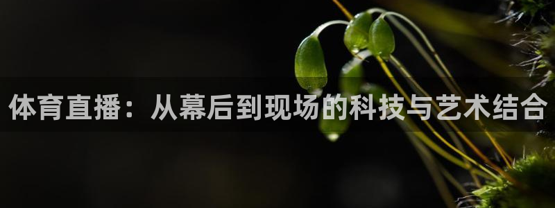 体育直播：从幕后到现场的科技与艺术结合