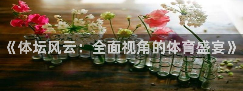 《体坛风云：全面视角的体育盛宴》