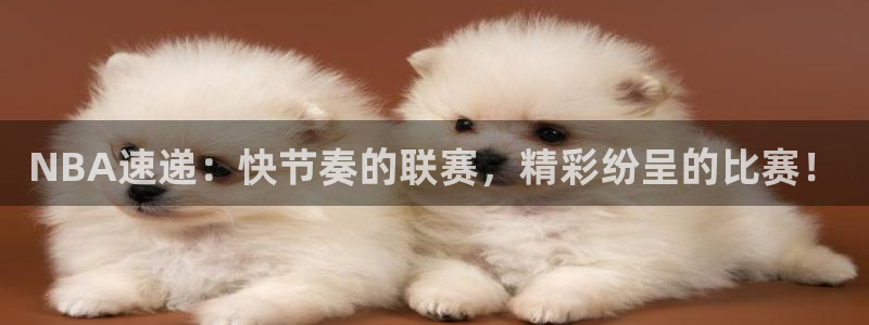 NBA速递：快节奏的联赛，精彩纷呈的比赛！
