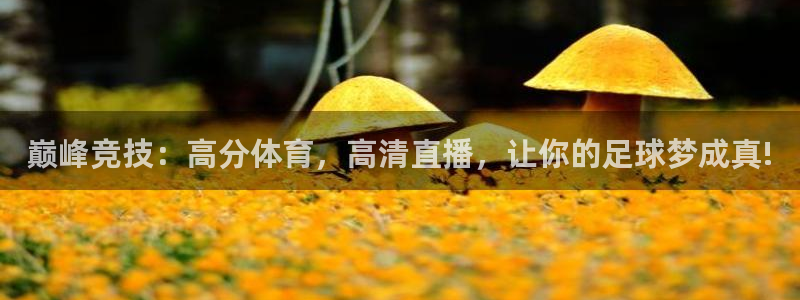 巅峰竞技：高分体育，高清直播，让你的足球梦成真!