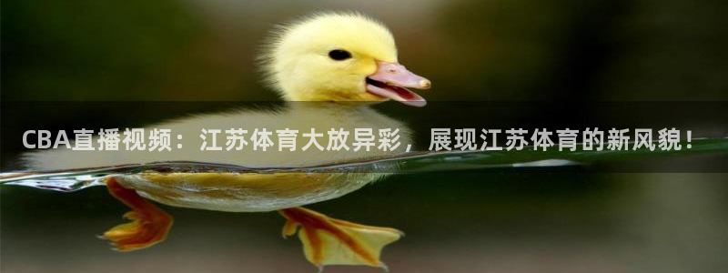 CBA直播视频：江苏体育大放异彩，展现江苏体育的新风貌！