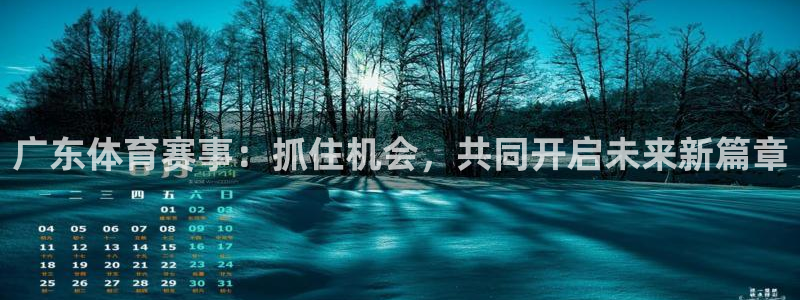 广东体育赛事：抓住机会，共同开启未来新篇章